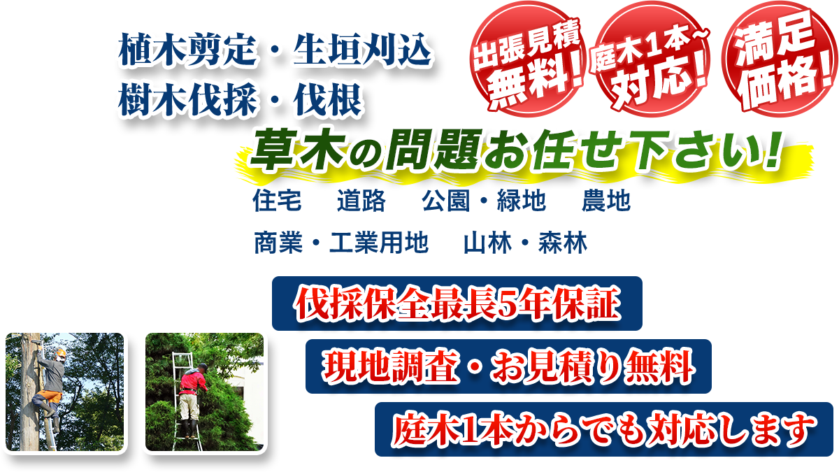 石川県全域エリア即対応!! 出張無料! 庭木1本~対応! 満足価格! 植木剪定・生垣刈込 樹木伐採・伐根 草木の問題お任せ下さい! 住宅 道路 公園・緑地 農地 商業・工業用他 山林・森林 伐採保全最長5年保証 現地調査・お見積り無料 庭木1本からでも対応します