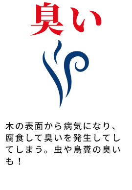 臭い 木の表面から病気になり、腐食して臭いを発生してしまう。虫や鳥糞の臭いも!